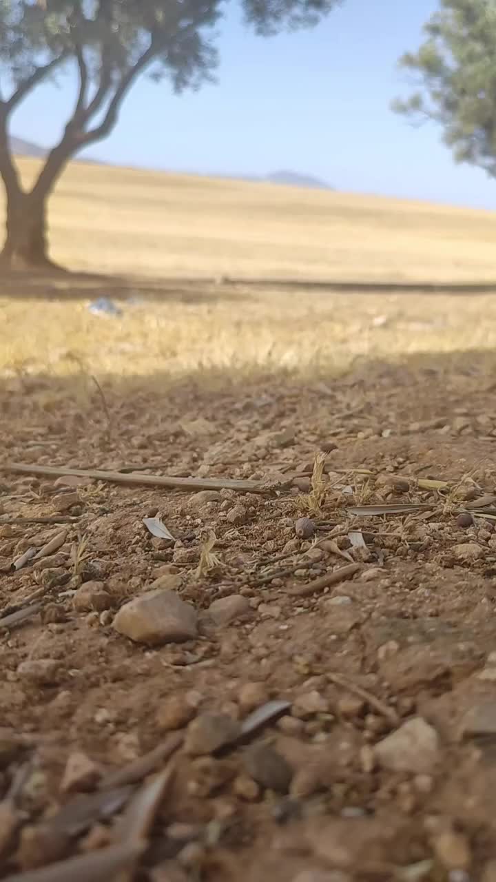 @ثقافة جنسية و زوجية