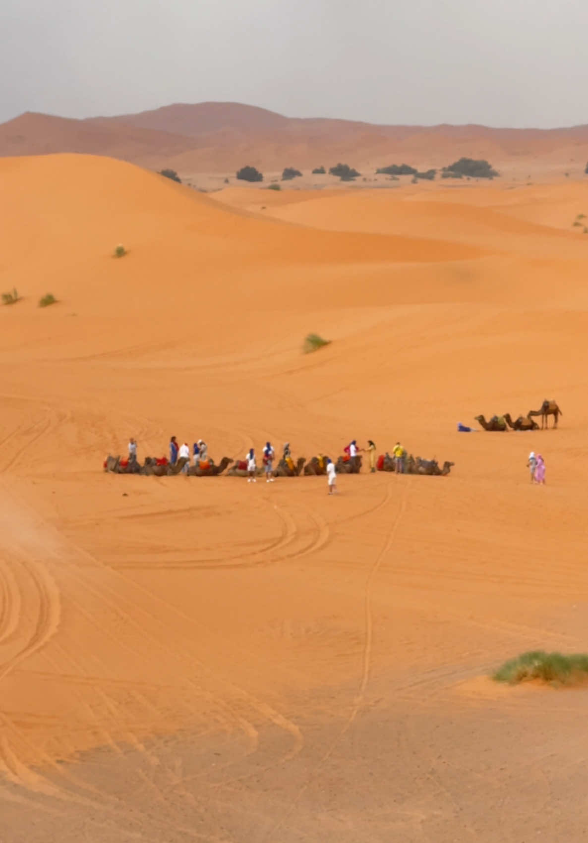 @Merzouga Globe 🌎