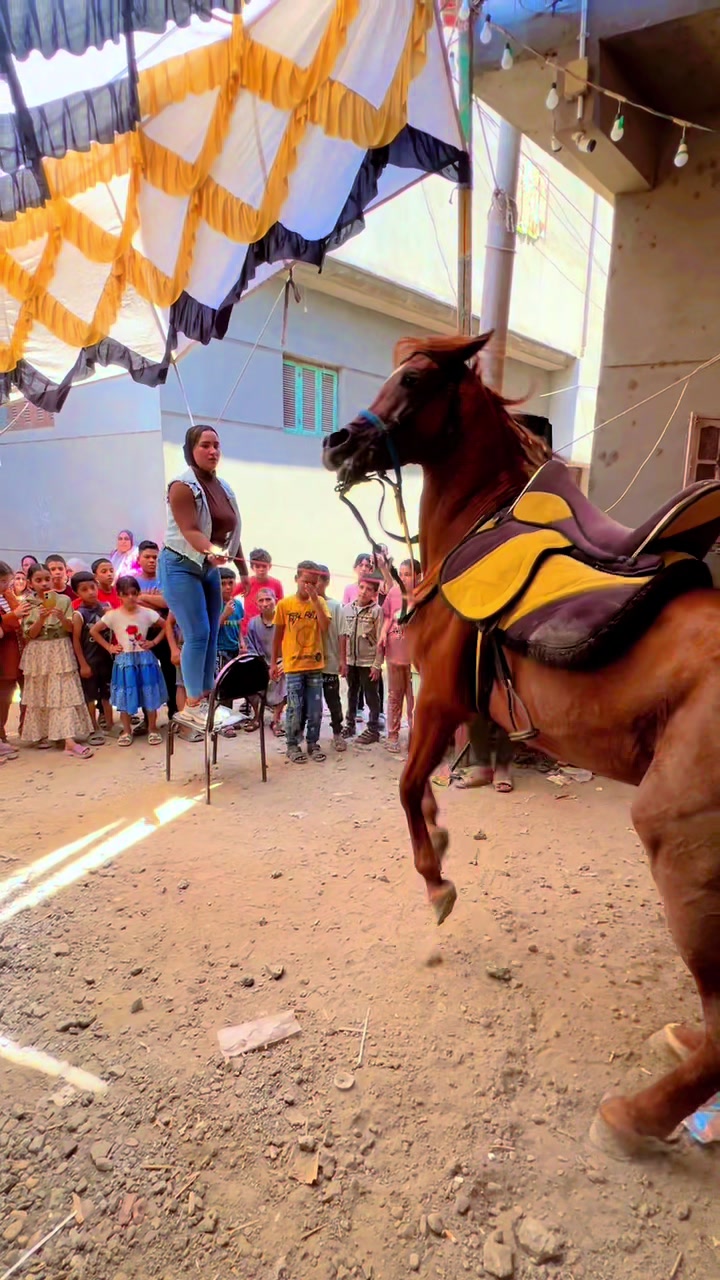 @الملكه شهد عبدالرحمن 🥇🐴&hearts;️