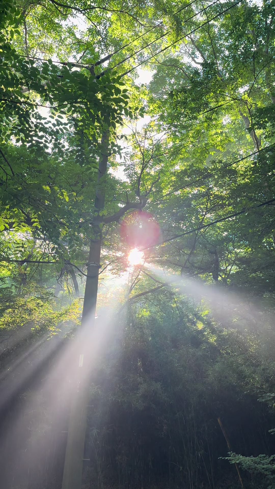 @japan.guidepal