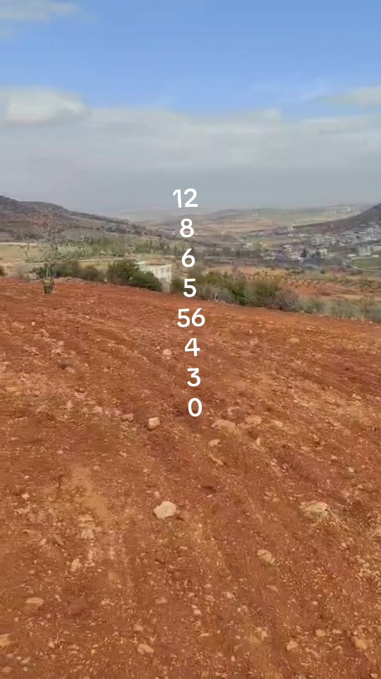 @Kaya