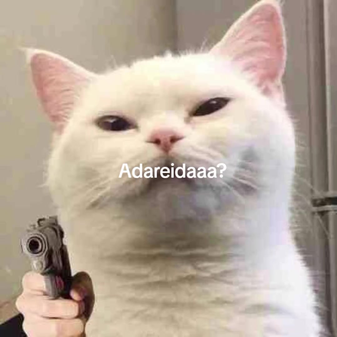 @luke