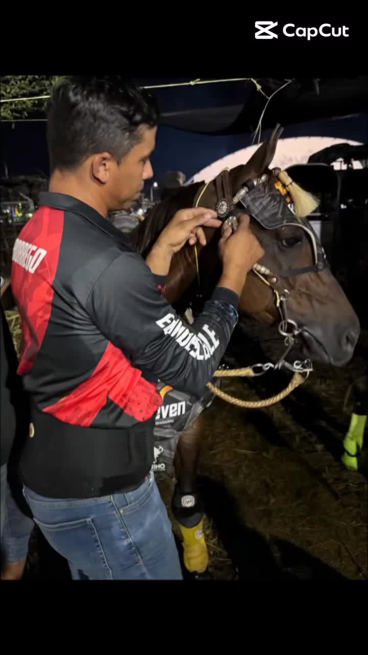 @Juan Anzola 🤠