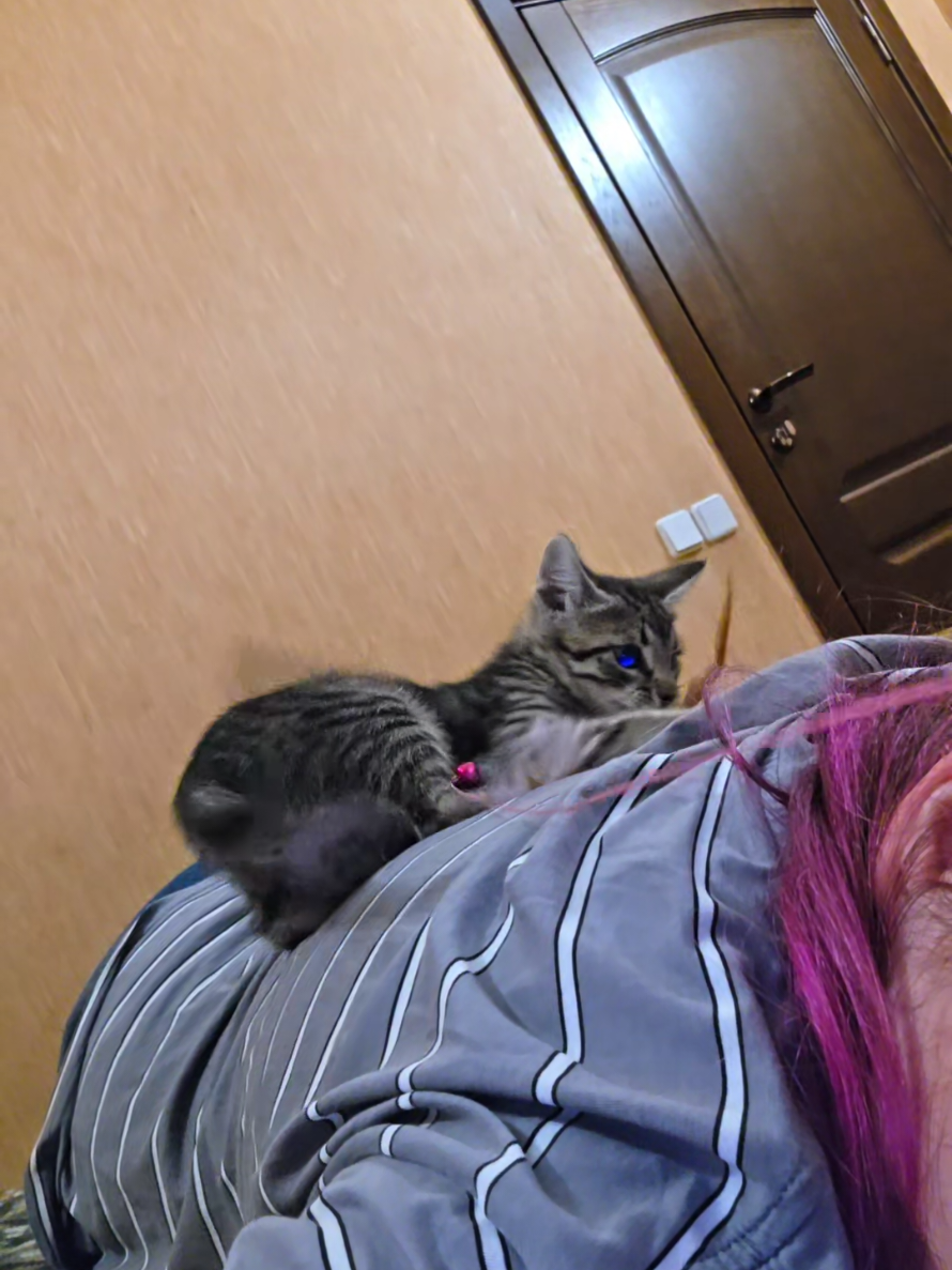 @лерабоб