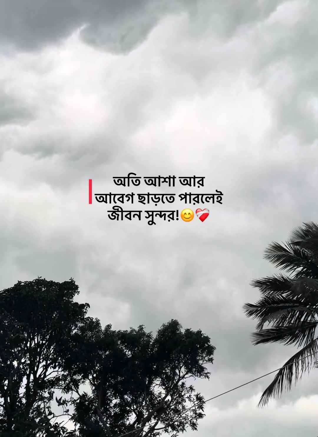 @Jahidul lslam 95