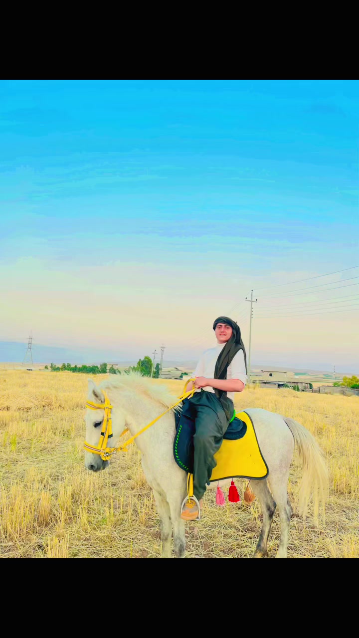 @محمد مام سال