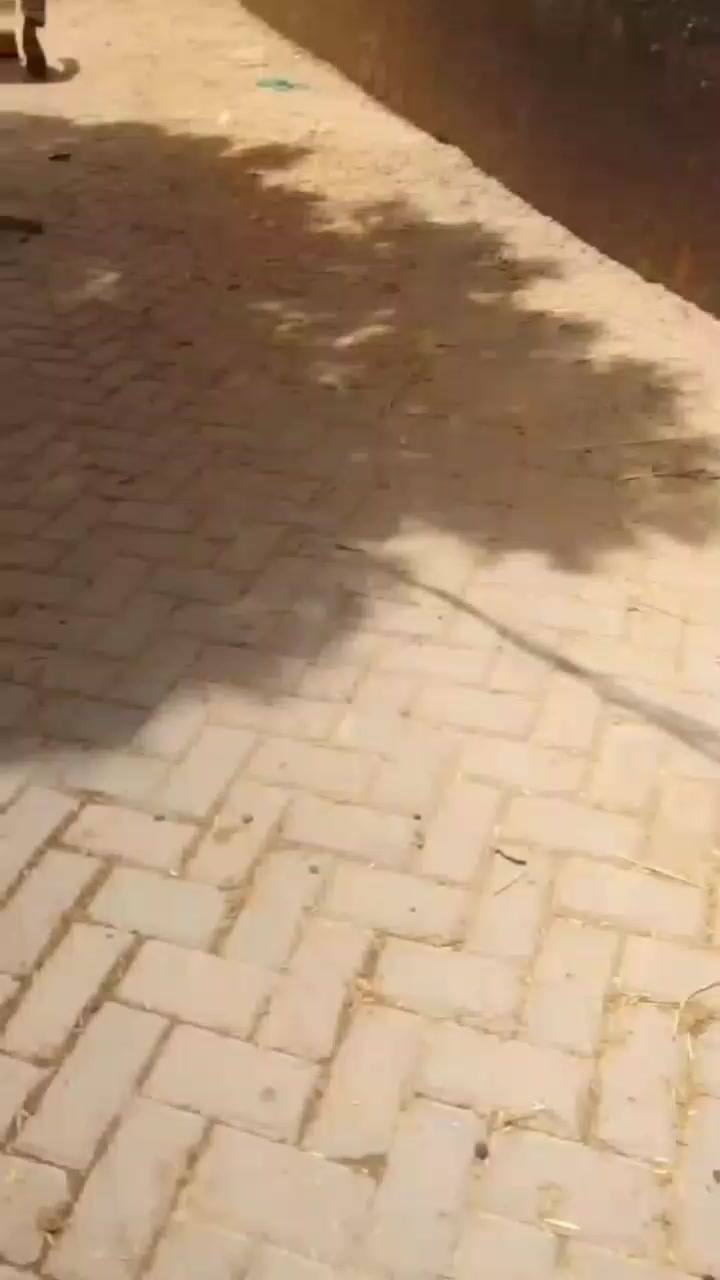 @JAMALI F-J Vlogs