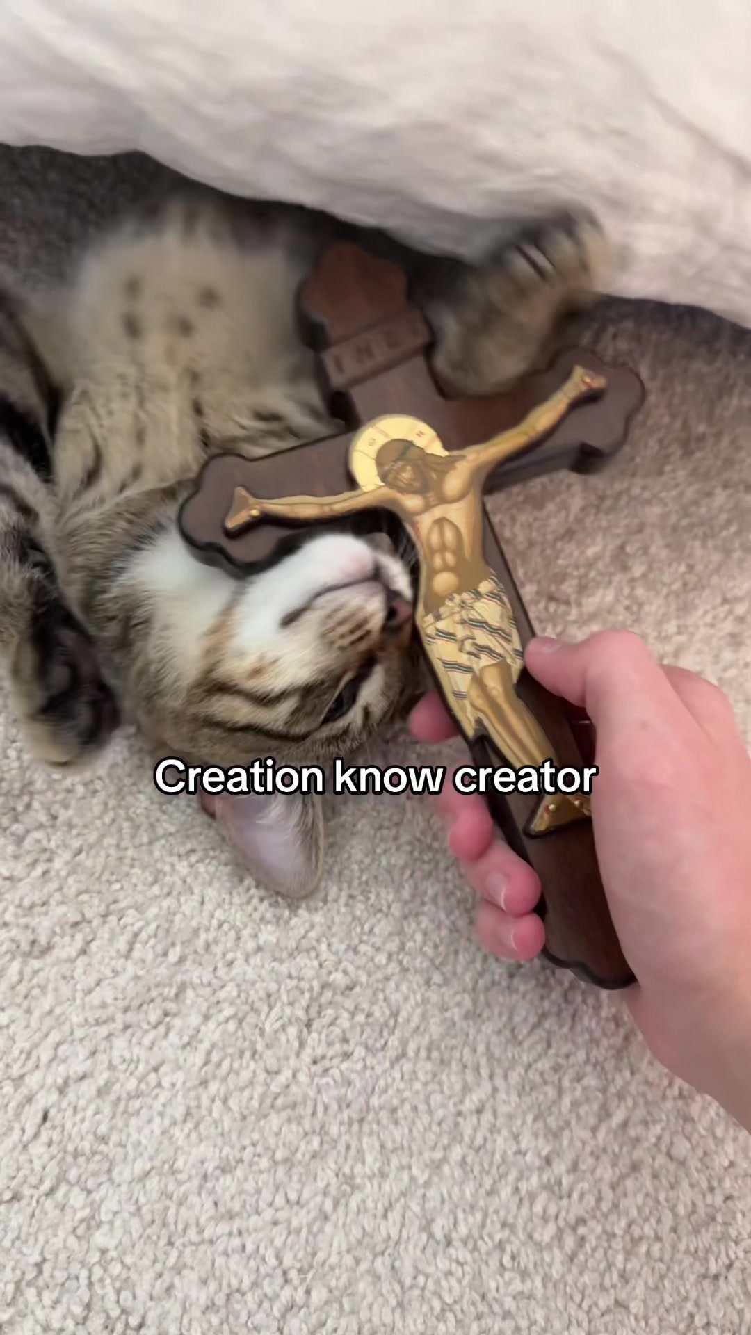 @RoccStar✝️❤️