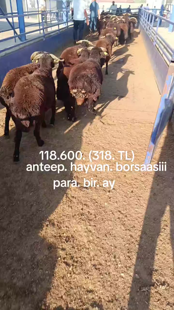 @eyyüp. beki. 🥀🥀🥀🥀