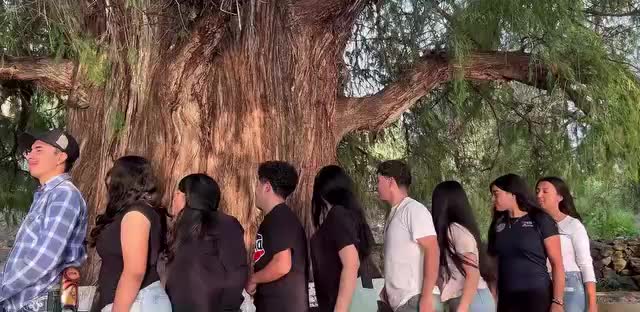 @El_B_1