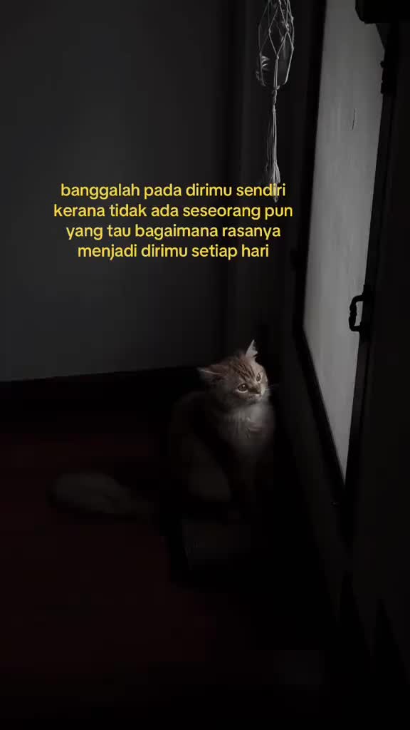 @𝒶𝒾𝓂