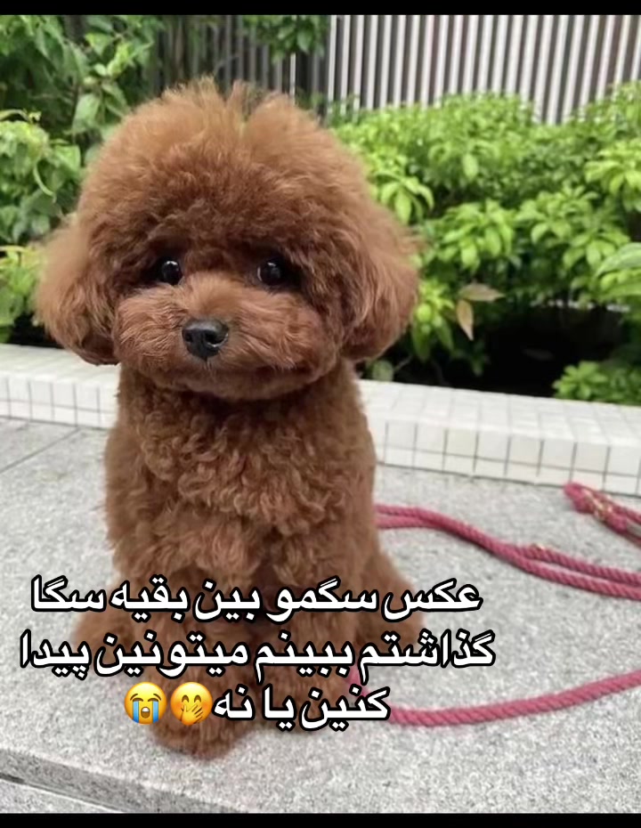 @🍓asal🍓