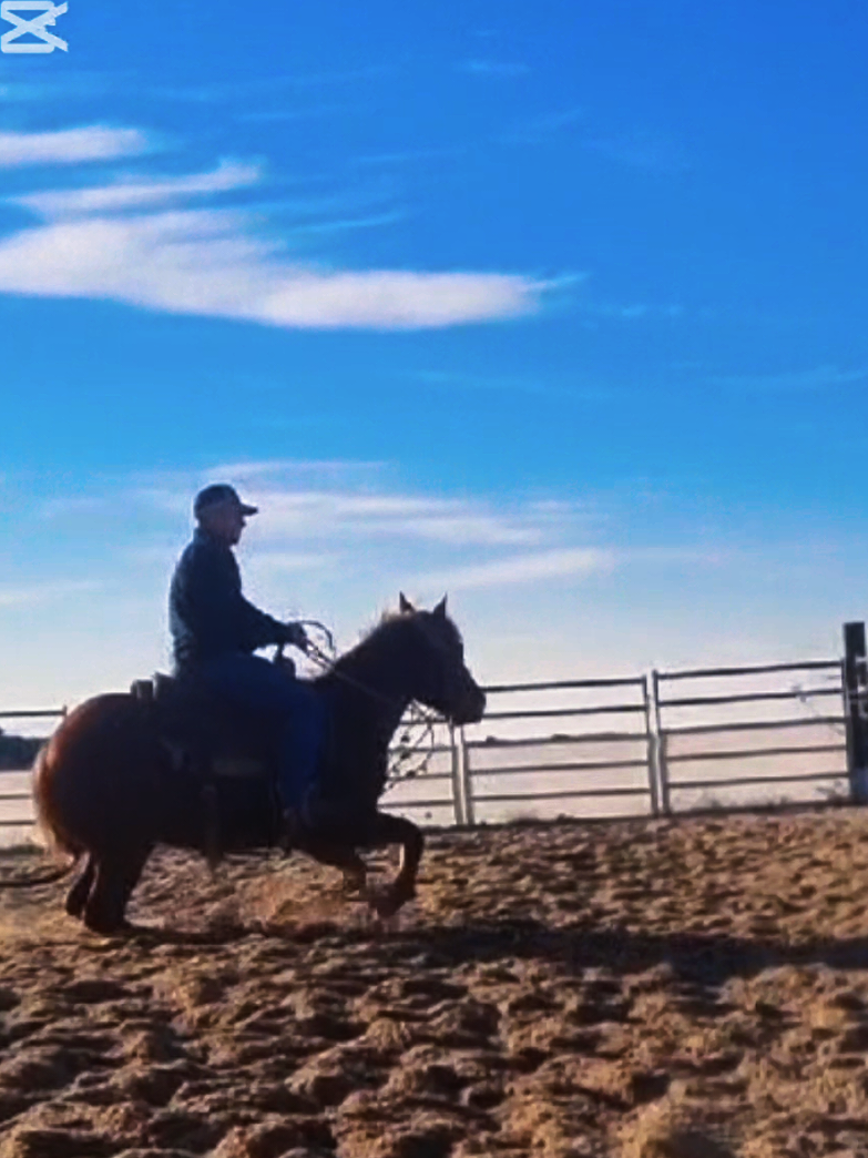 @Sutton Ranch