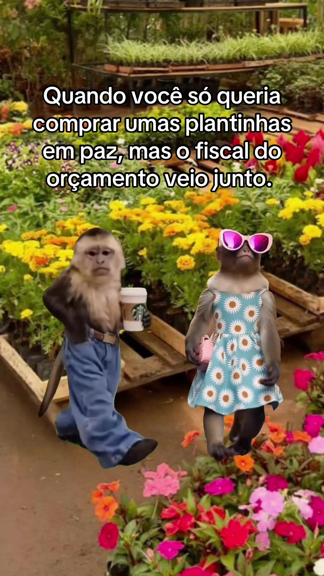 @tababadeira