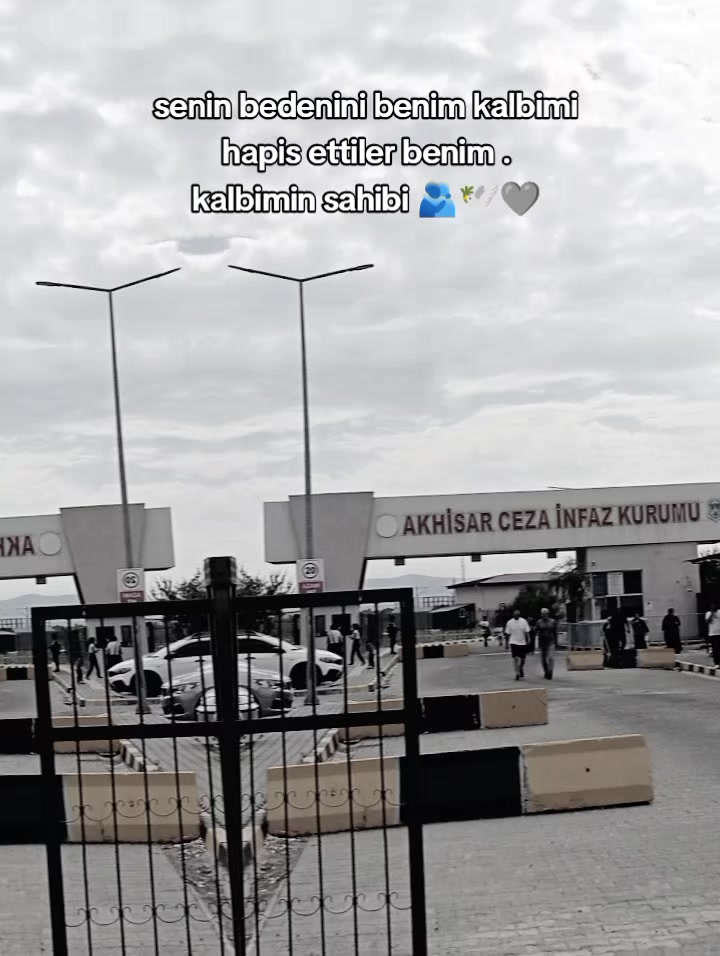 @aysenur_avc