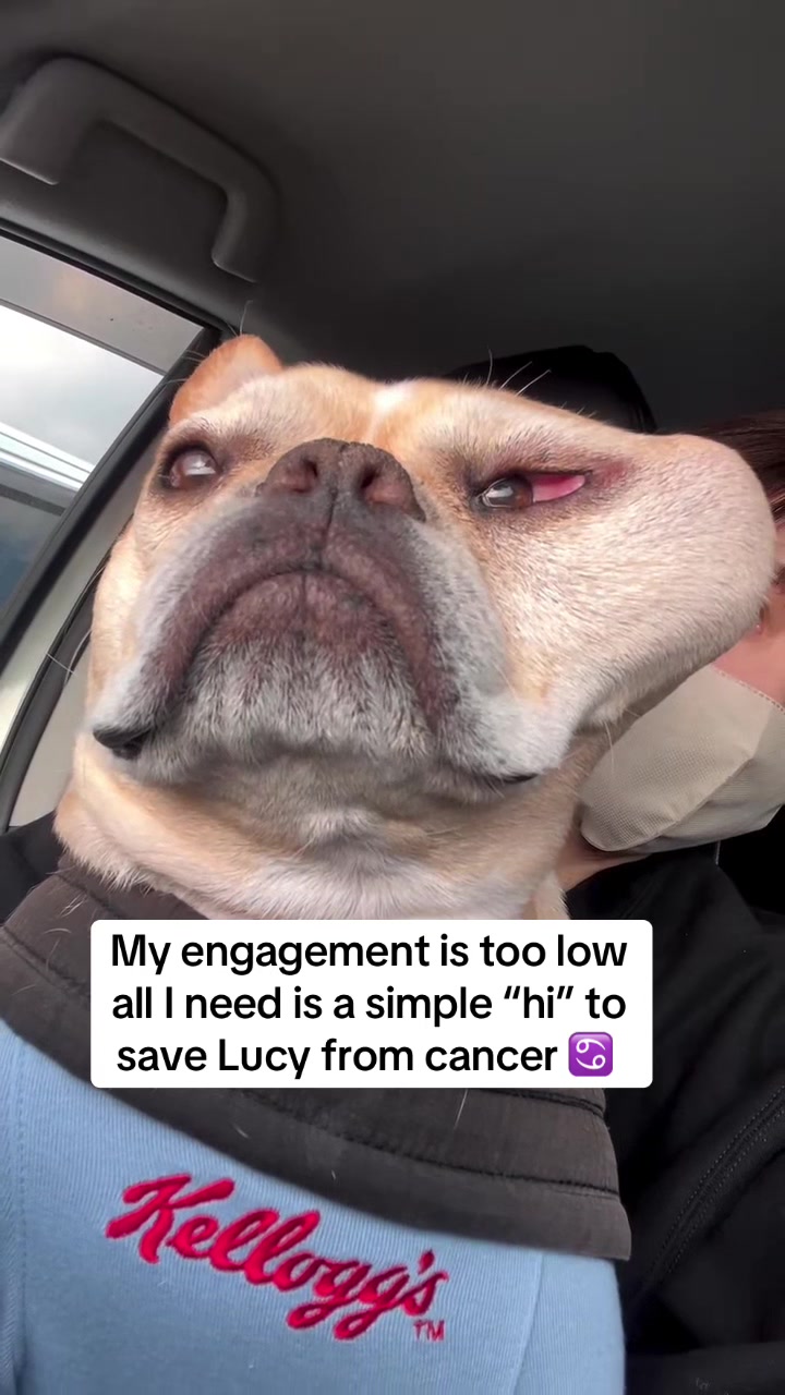 @VitaHope