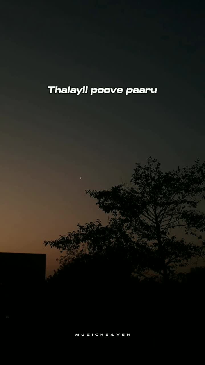@๐ฆ๐ฎ๐ฌ๐ข๐๐ก๐๐๐ฏ๐๐งโ♥๏ธโฅ