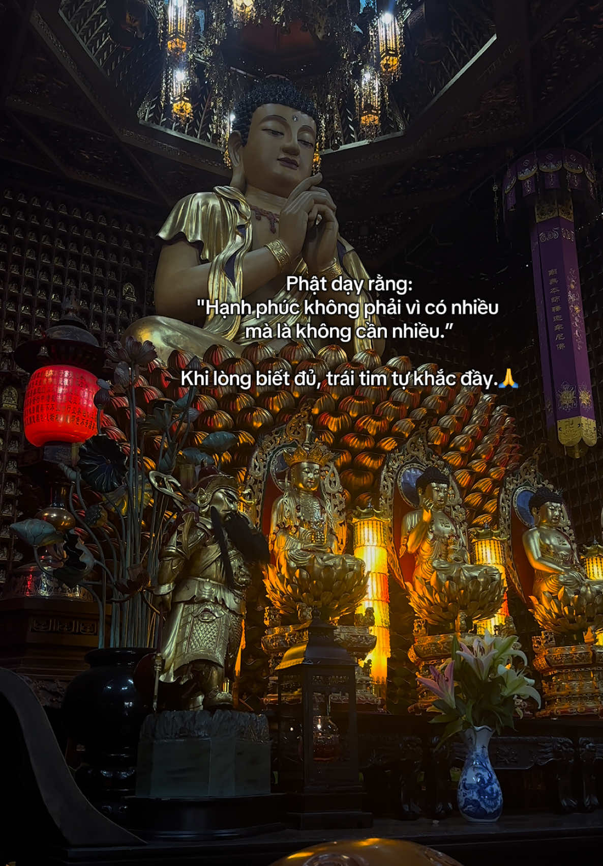 @🪷An Tịnh Lắng Dịu🪷