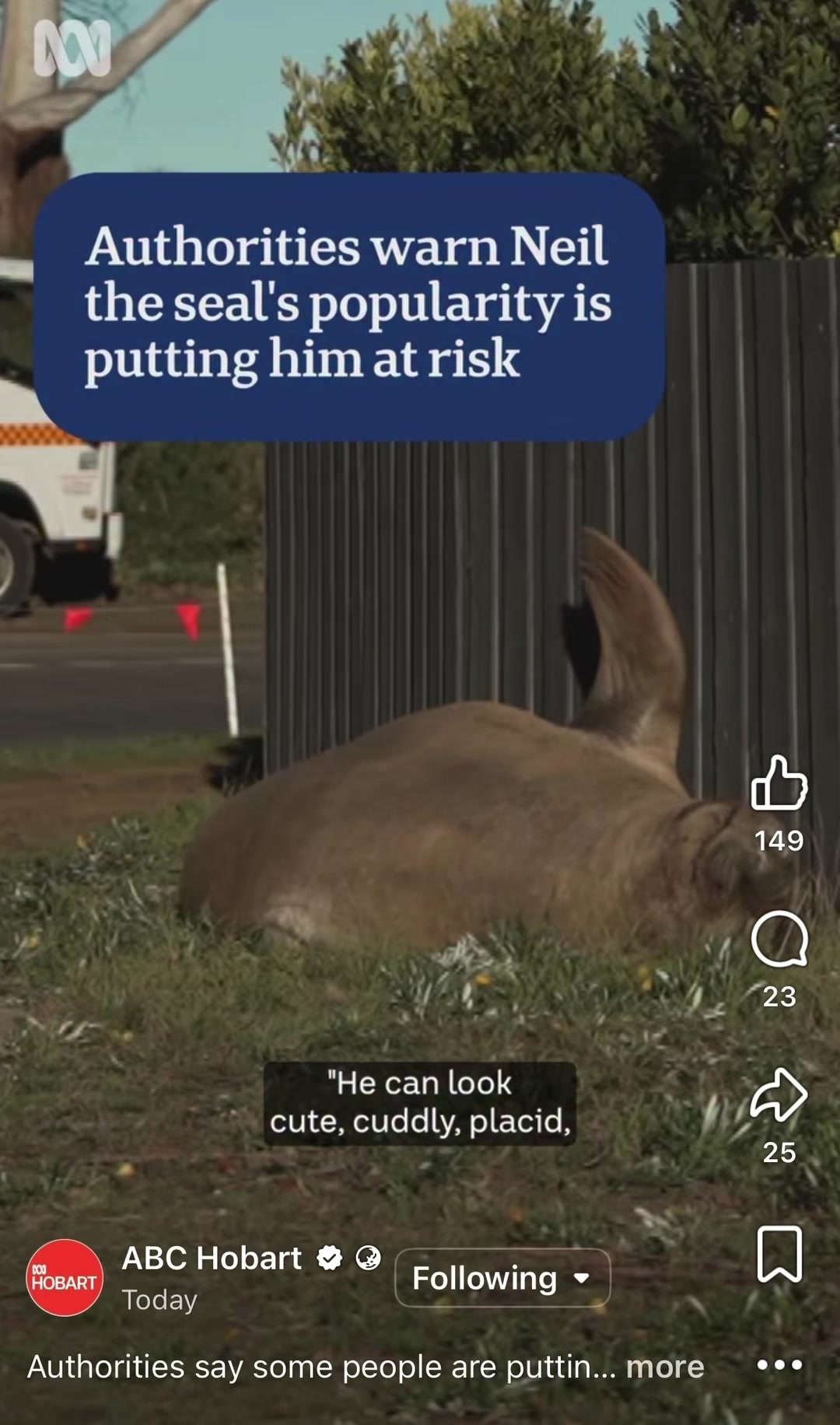 @Neil the Seal 🦭