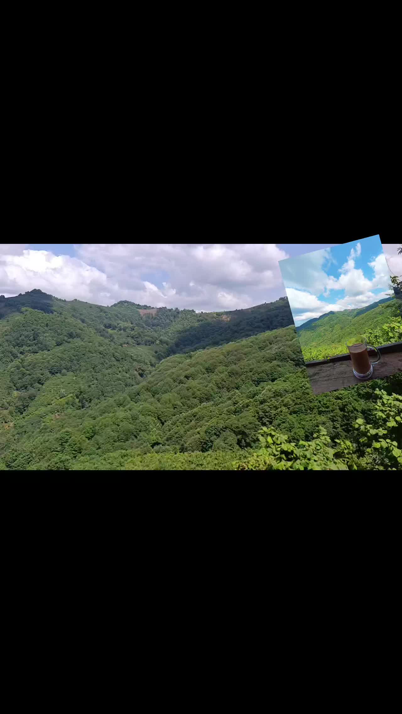 @kardelen kardelen