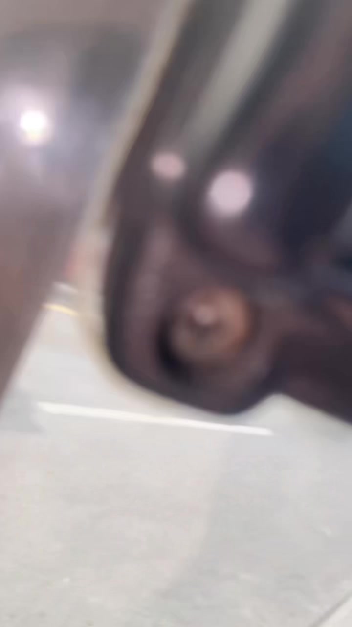 @zavier