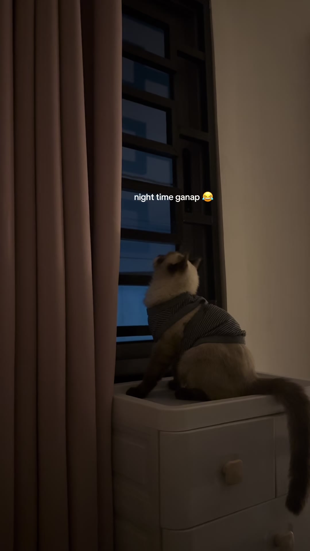 @_shrolives