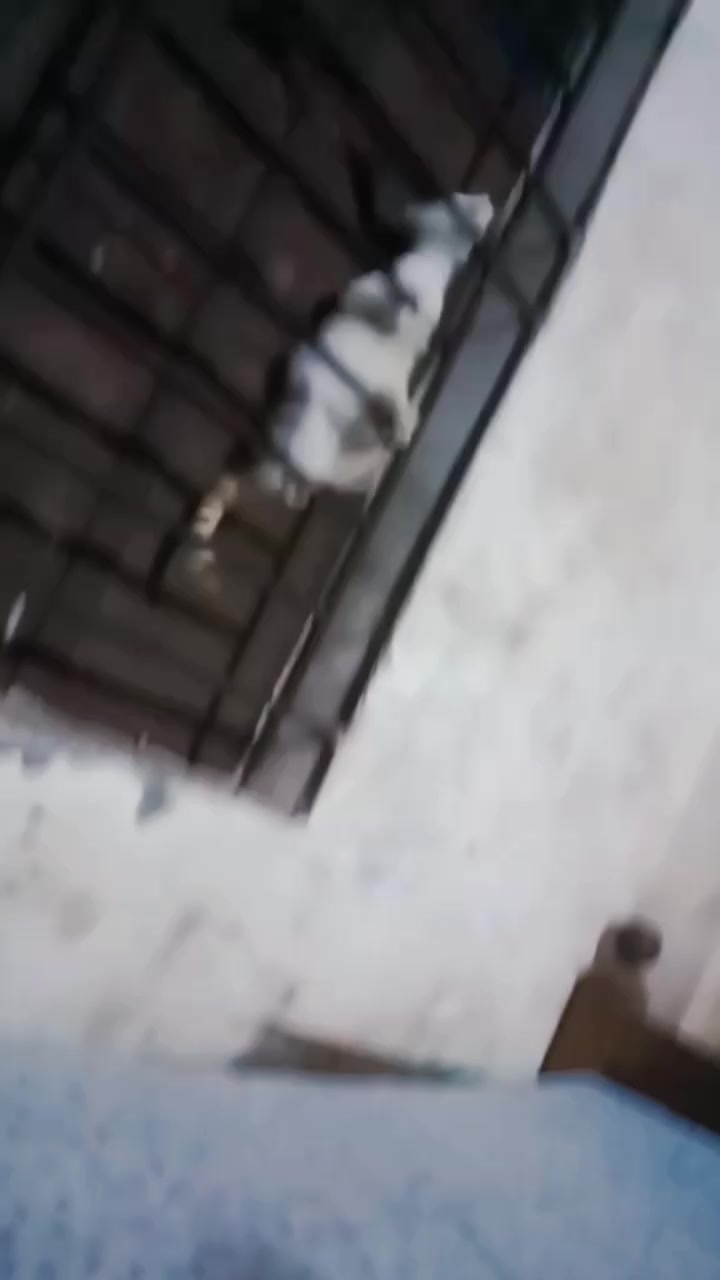 @shehzadi 014