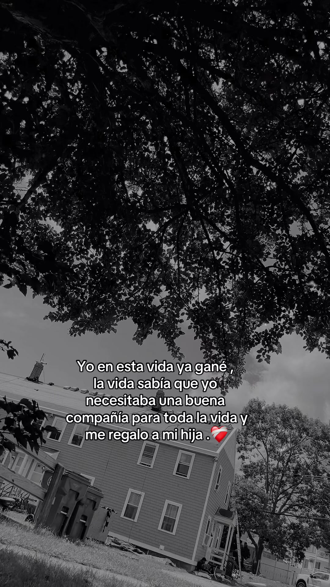 @Nelly Carrillo