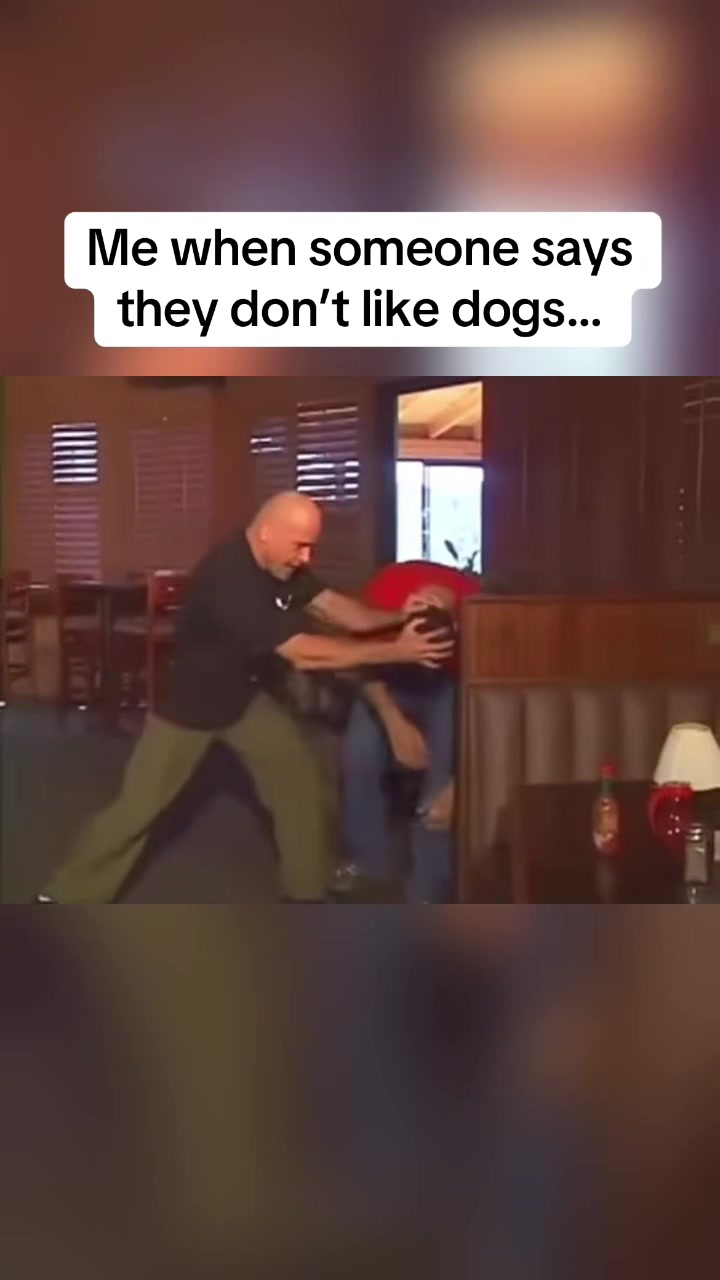 @nochillcelebs