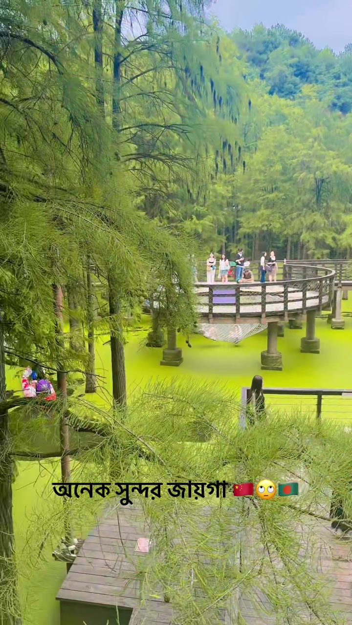 @মেয়ে চায়নিছ 🇨🇳মা বাংলাদেশী