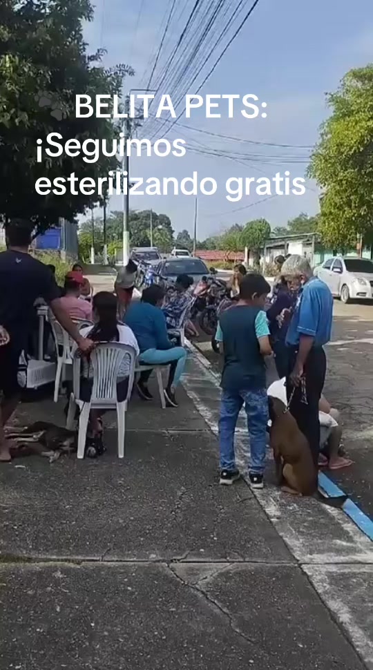 @BelitaPets