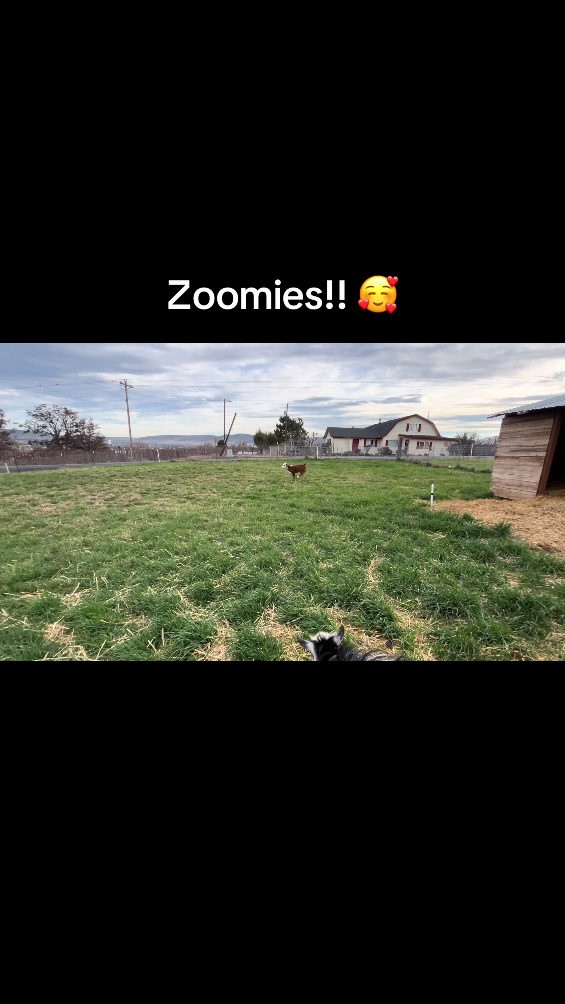 @WollamFarm