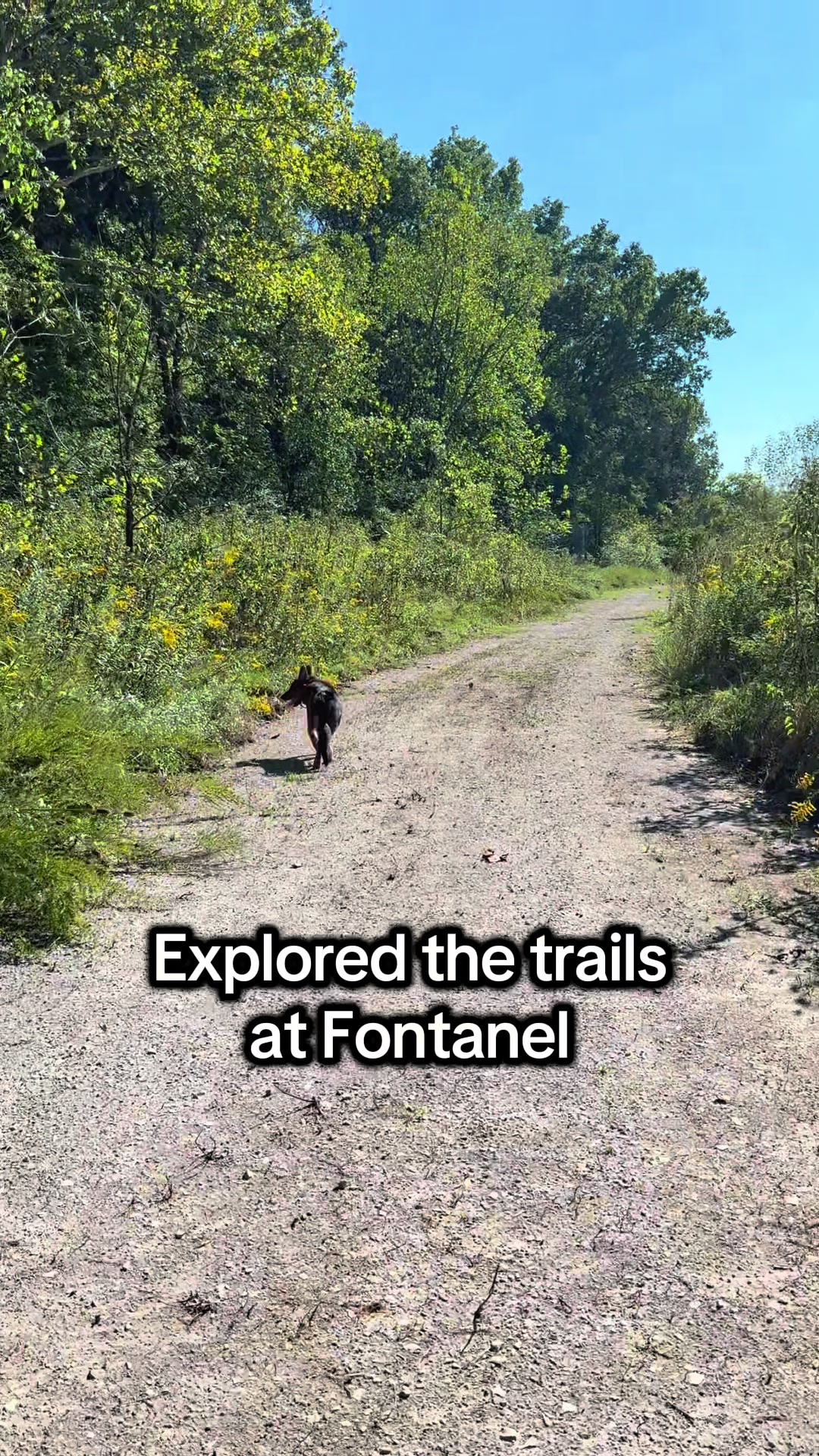 @Whiskeys Trails