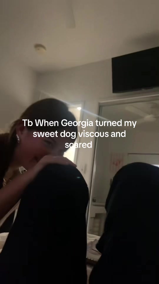 @Saigeellelife