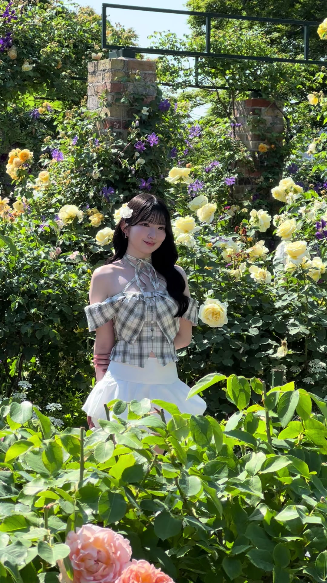 @ฝ้ายที่ปลูกกุหลาบโคตรเยอะ