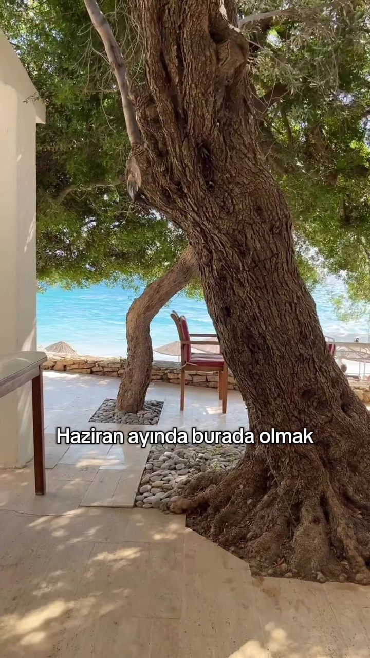 @travel.with.us.turkiye