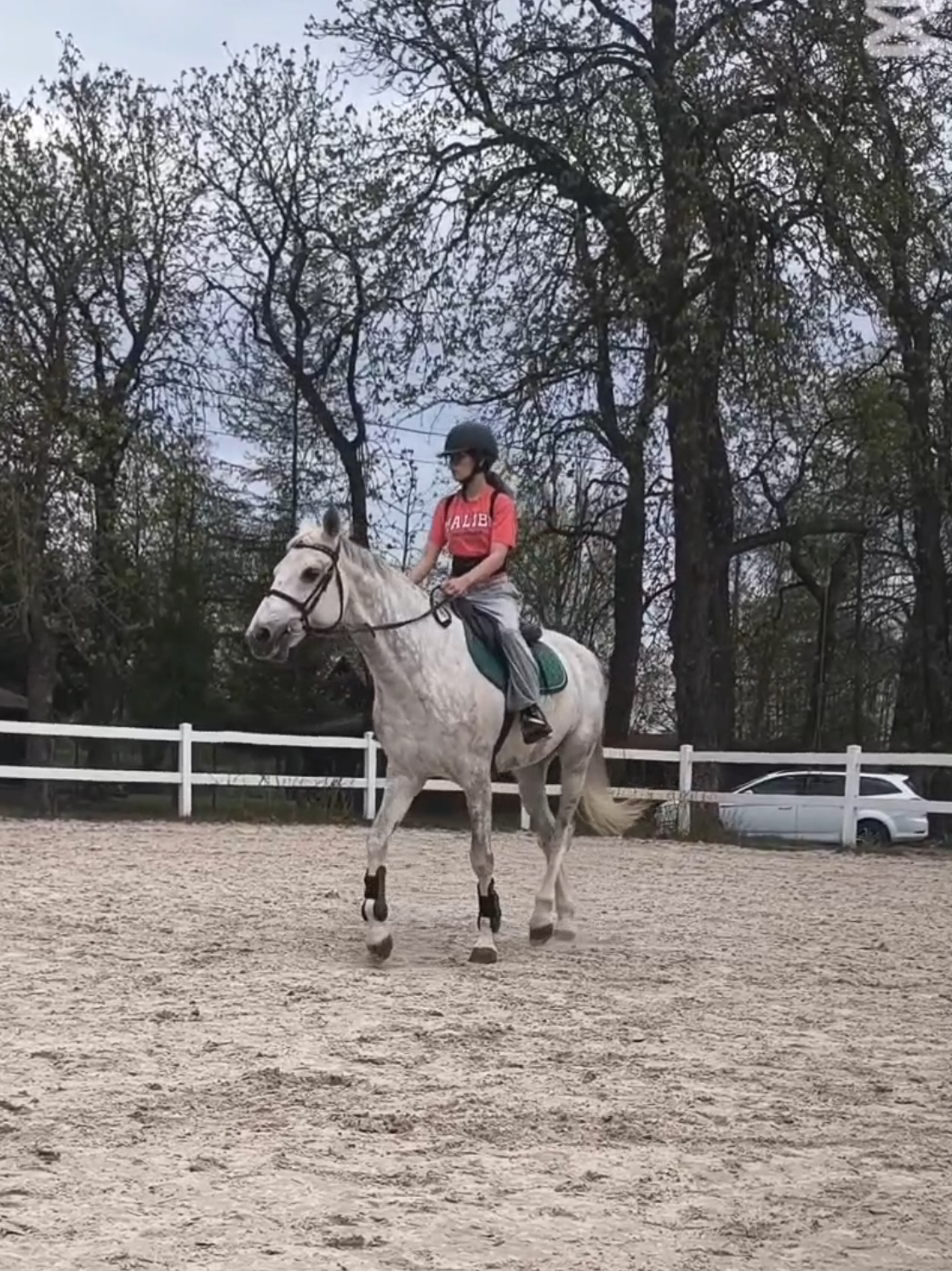 @Laura_eq