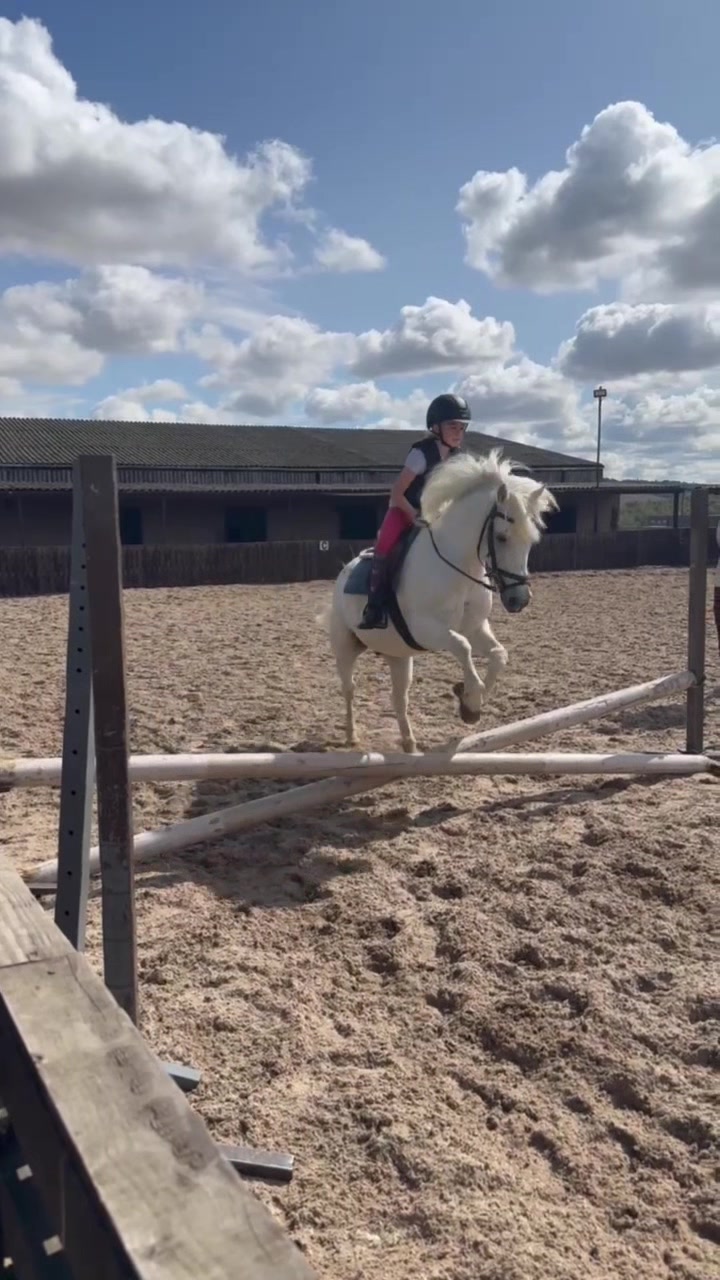 @LottiesHorseAdventures🦄🐴