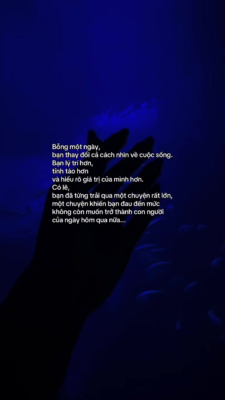 @M&egrave;o Trắng 😾
