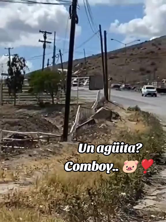 @Alejandro Casillas