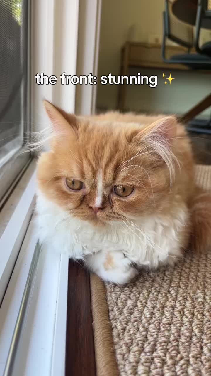 @somithepersian