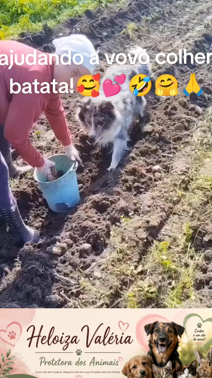 @Heloiza Valeria