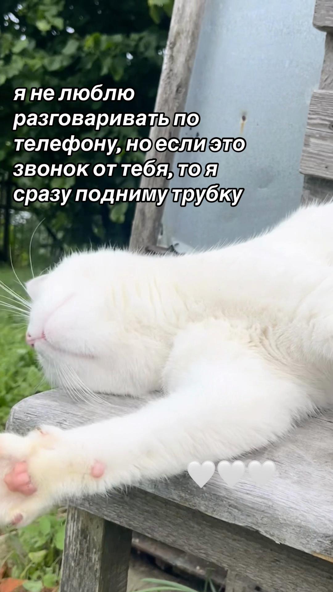 @владочка
