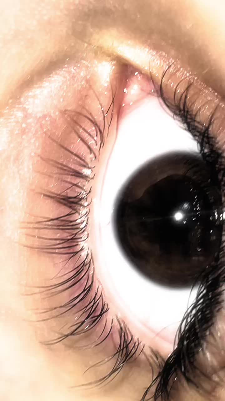 @N3L3CHK4