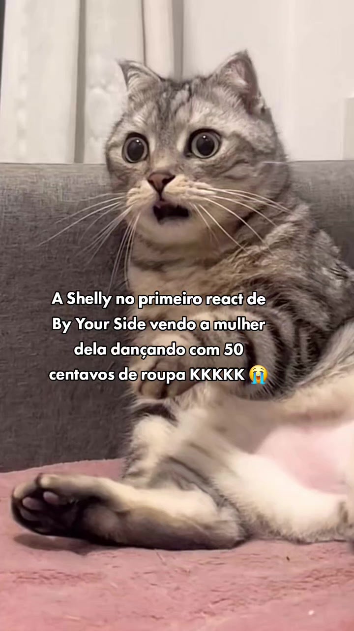 @SHELLY BENDA LOVER 🧸🥚