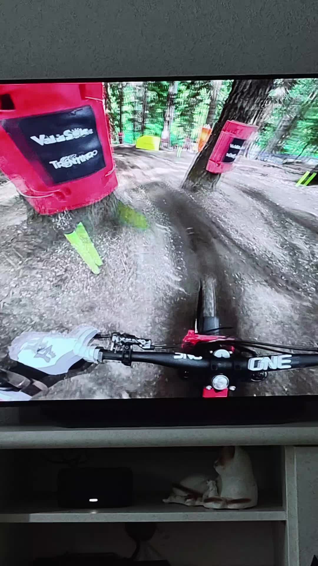 @mtb downhill tiktok