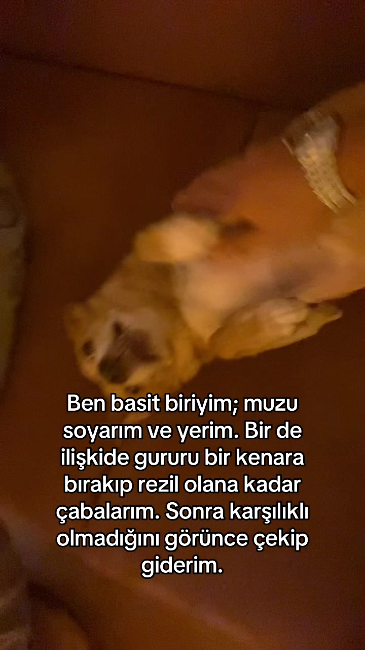 @33emree