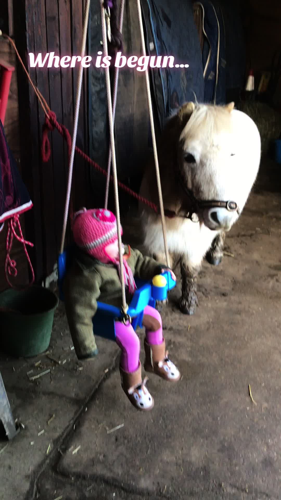 @Nina’s Pony Adventures ❤️