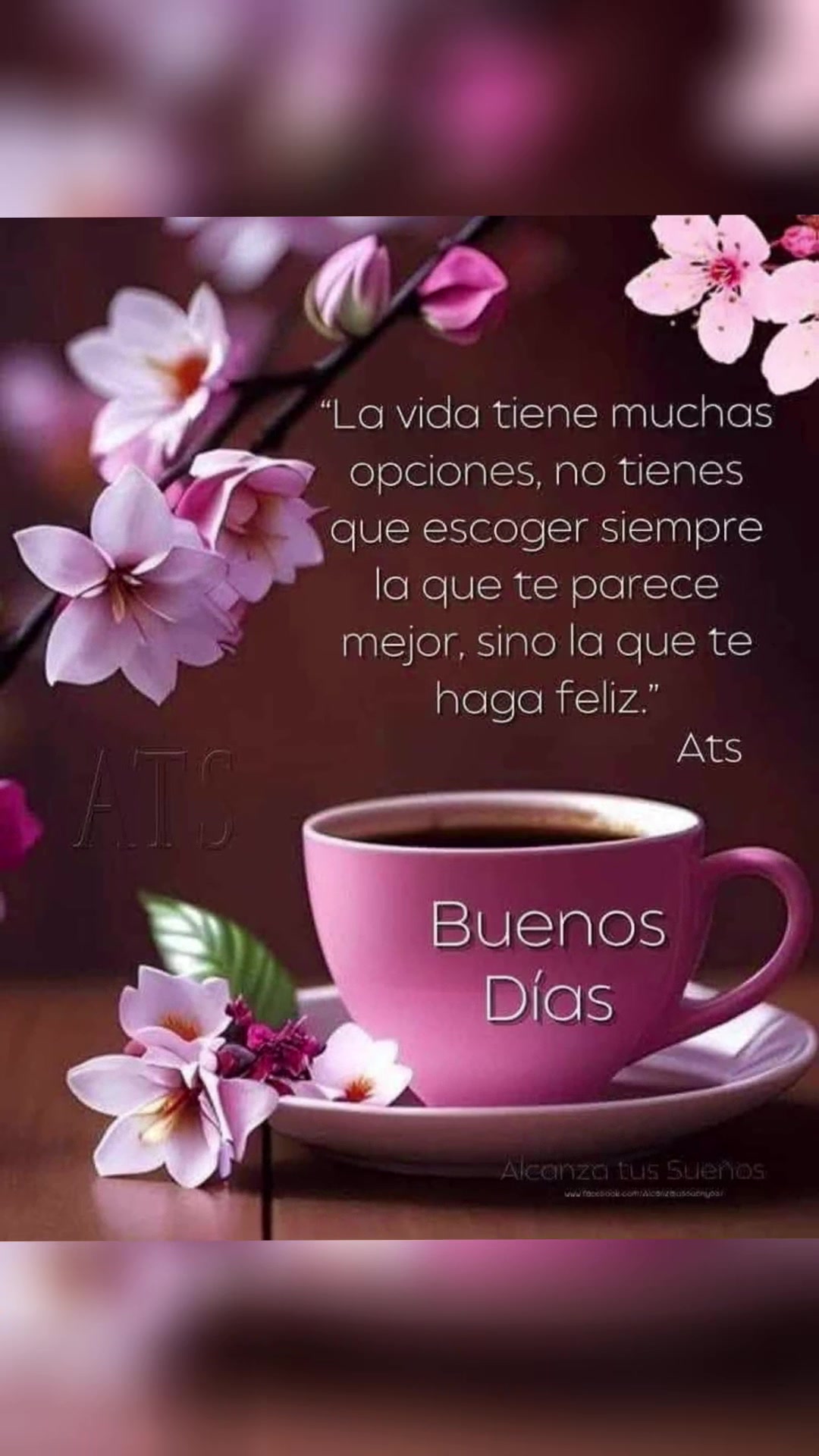 @elvirasvg