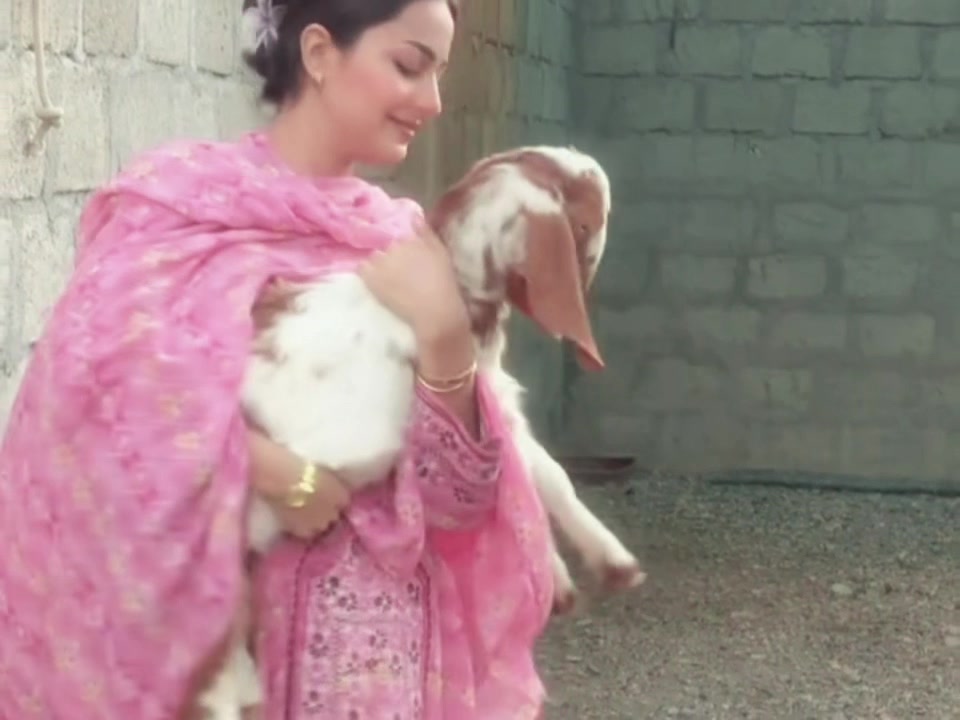 @ASH | HOTHI